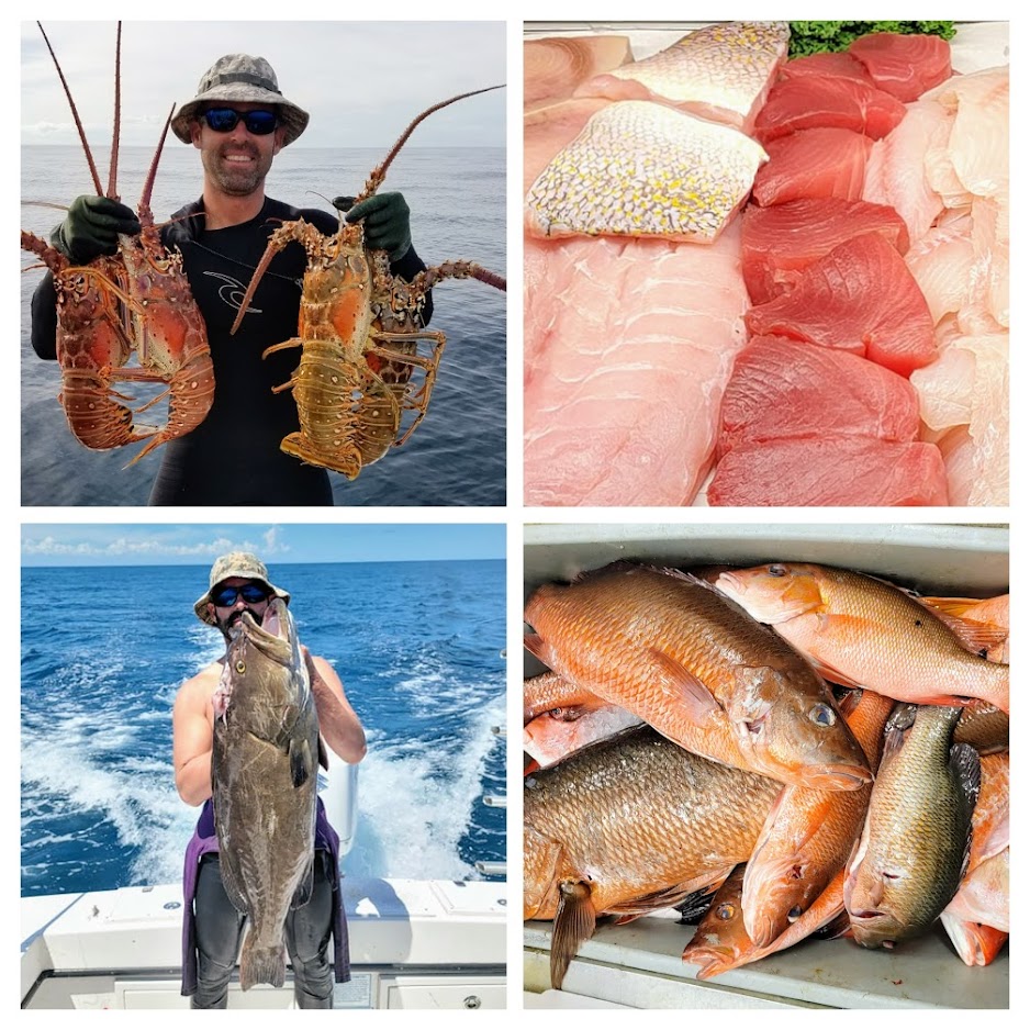 Collage image of Fresh locally caught seafood, lobsters, grouper, snapper from Indian River County Florida