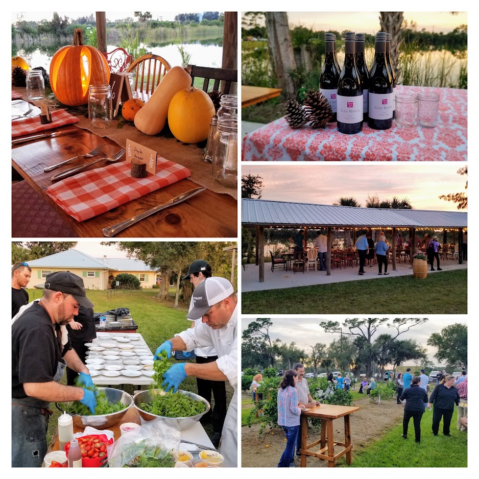 Farm to Table Dinner image collage showcasing the Schacht Groves Dinner Series in Vero Beach Florida in Indian River County.
