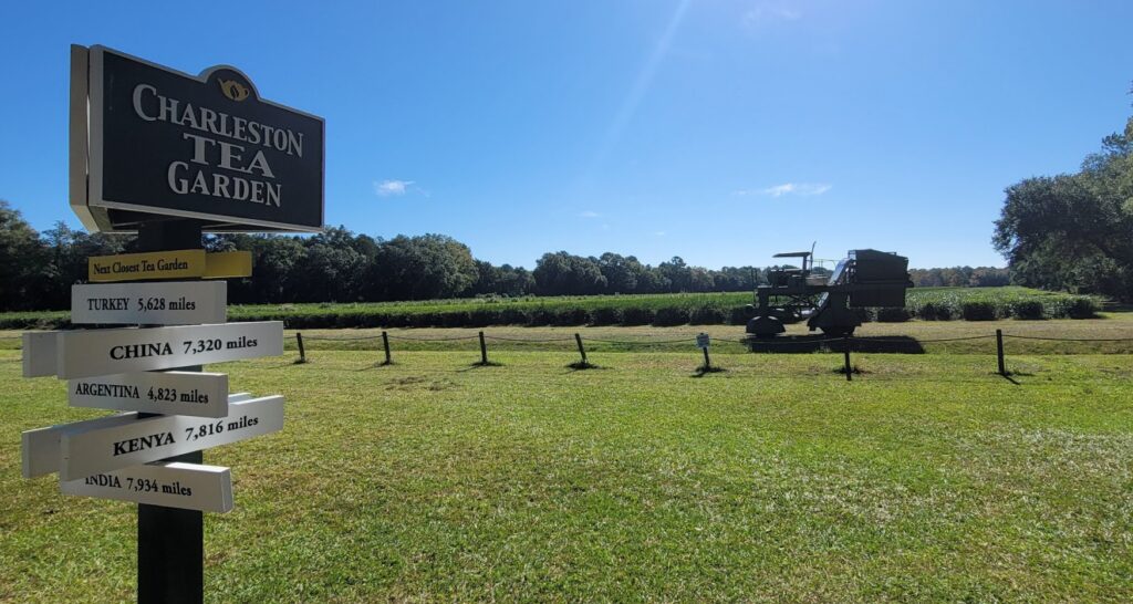 A view of the Charleston Tea Garden fields with tea harvester in Charleston South Carolina