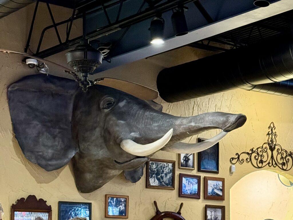An elephant taxidermy head handing on the wall inside Hemingway’s Tavern in Melbourne Florida